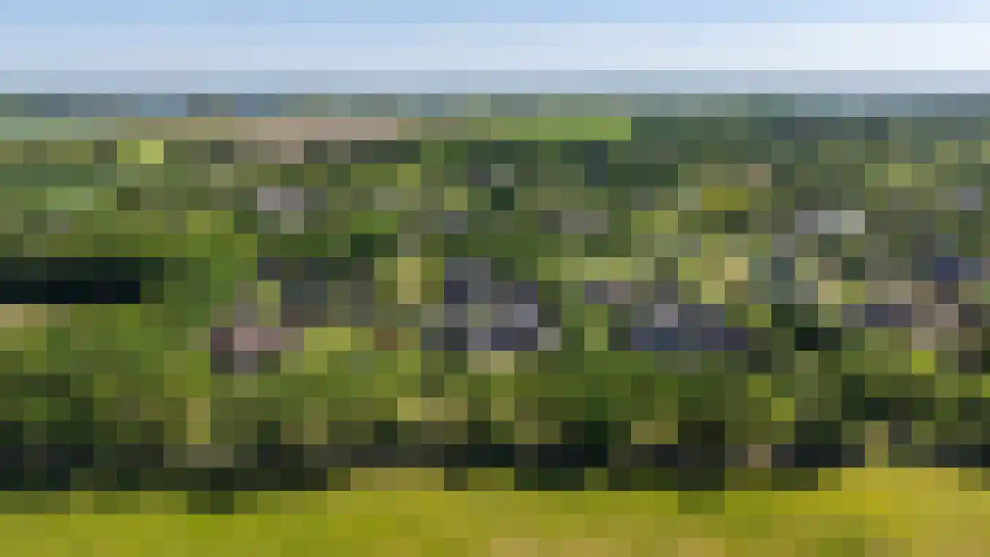 De Voorde 28 De Groeve thumbnail 55