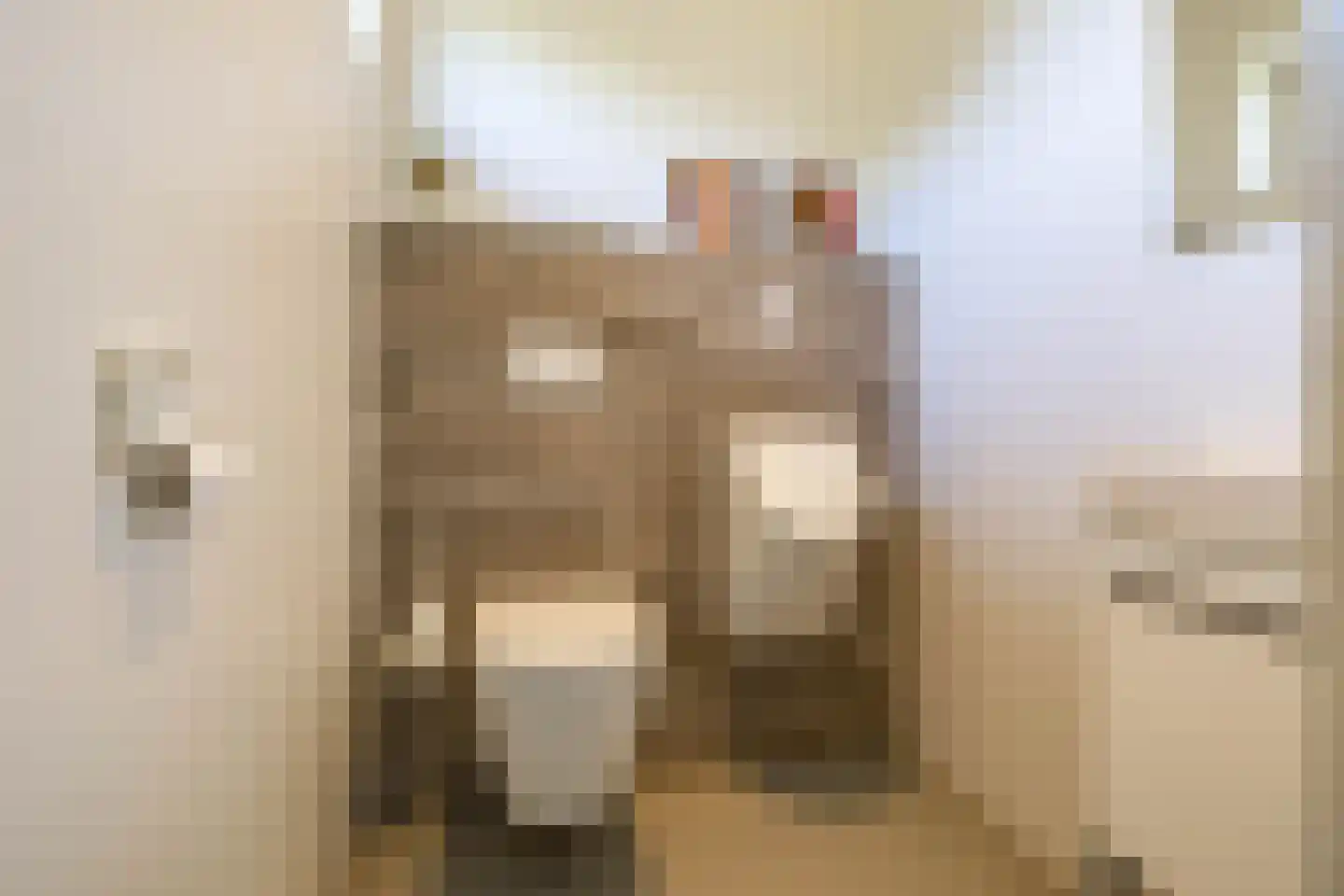 De Voorde 28 De Groeve thumbnail 7