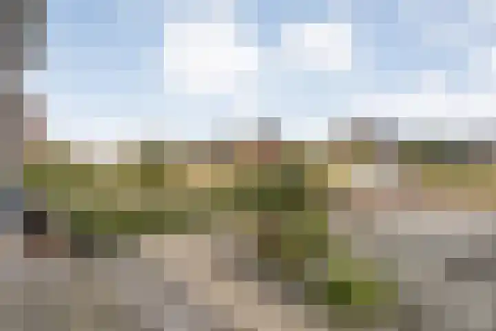De Voorde 40 Wierden thumbnail 13