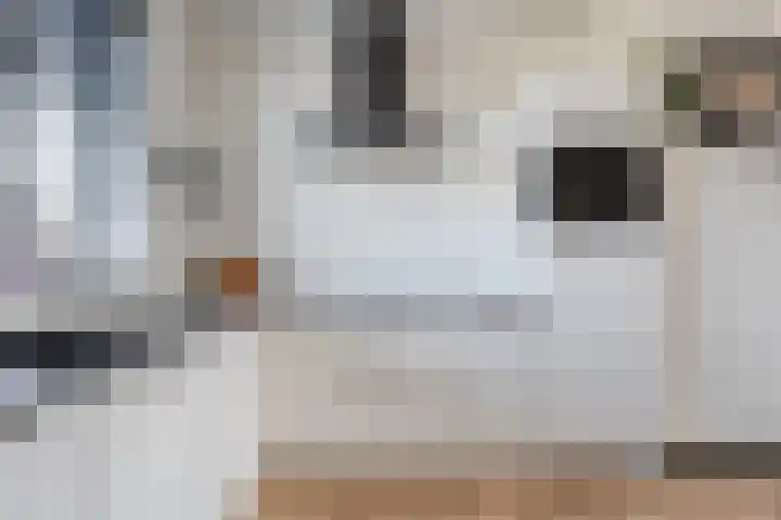 De Voorde 40 Wierden thumbnail 21