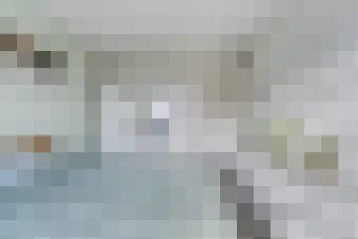 De Voorde 40 Wierden thumbnail 24