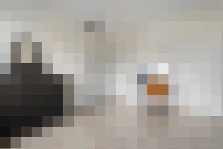 De Voorde 40 Wierden thumbnail 28