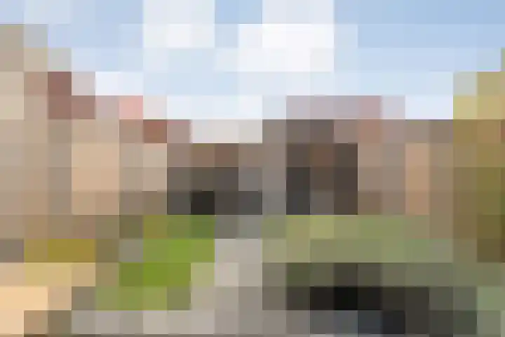 De Voorde 40 Wierden thumbnail 33