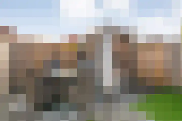 De Voorde 40 Wierden thumbnail 35