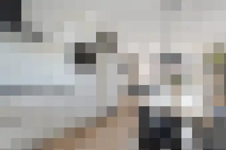 De Voorde 40 Wierden thumbnail 4