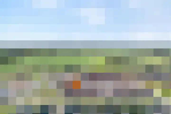 De Voorde 40 Wierden thumbnail 7