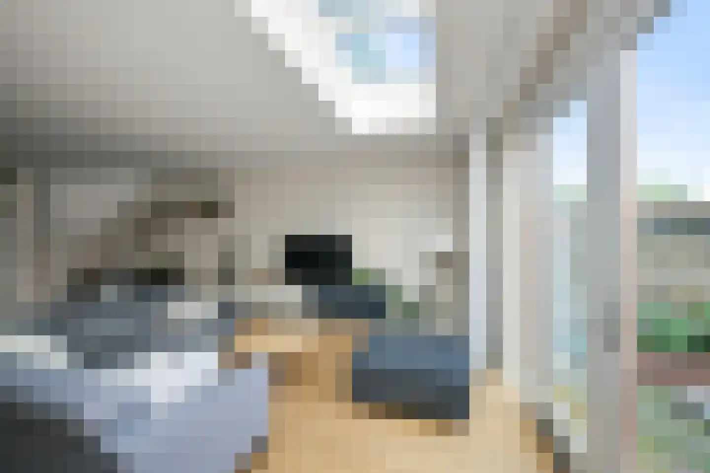 De Voorhoede 47 Wormer thumbnail 12
