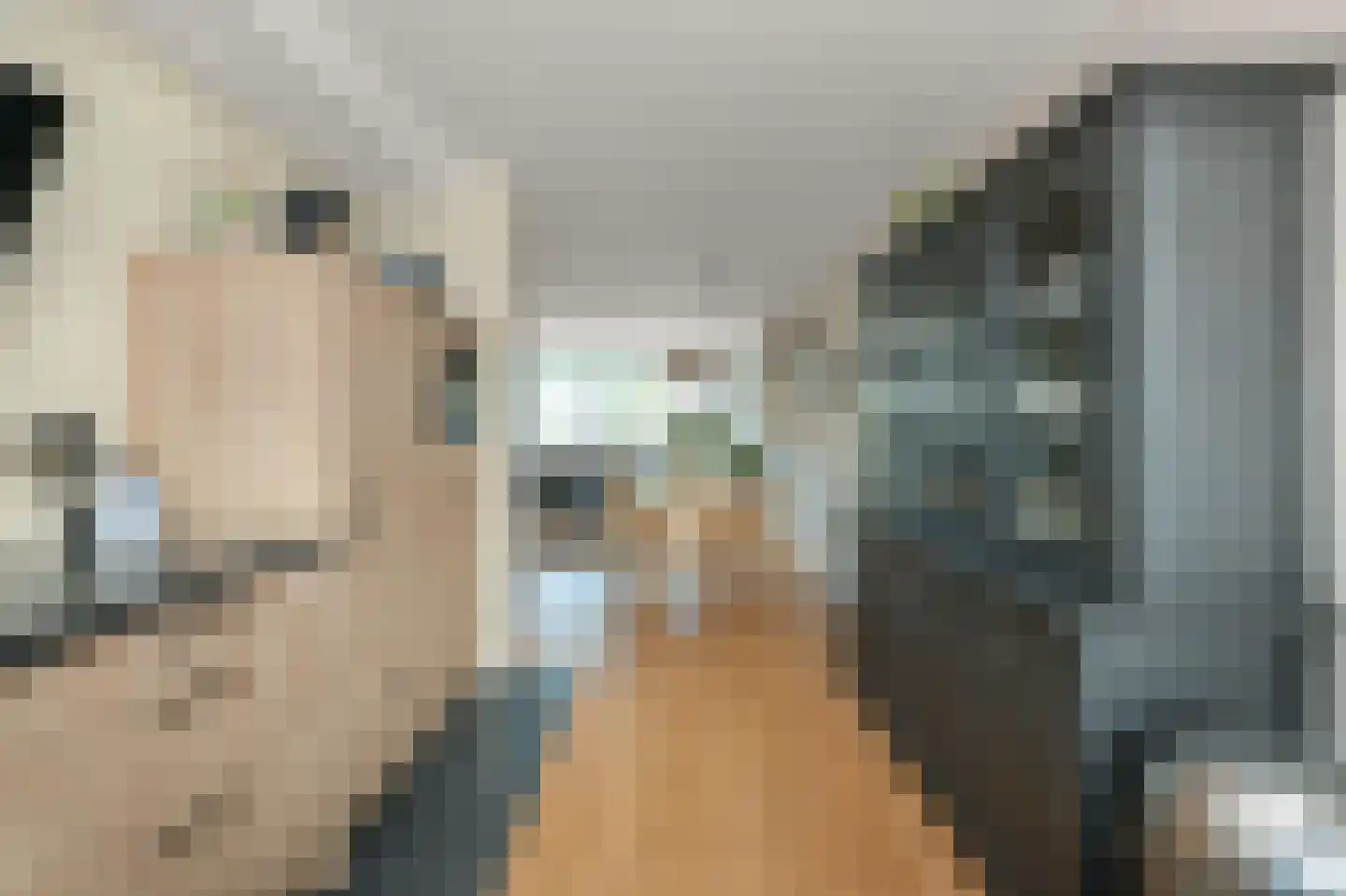 De Voorhoede 47 Wormer thumbnail 18