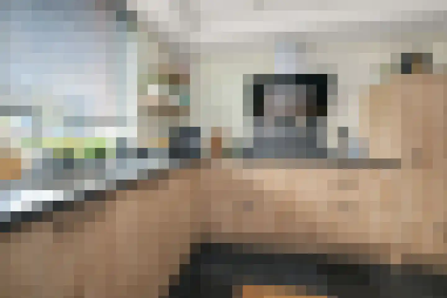 De Voorhoede 47 Wormer thumbnail 20