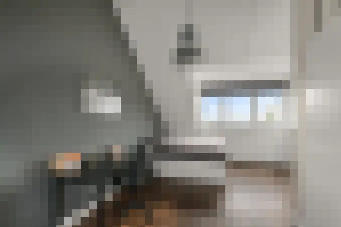 De Voorhoede 47 Wormer thumbnail 32