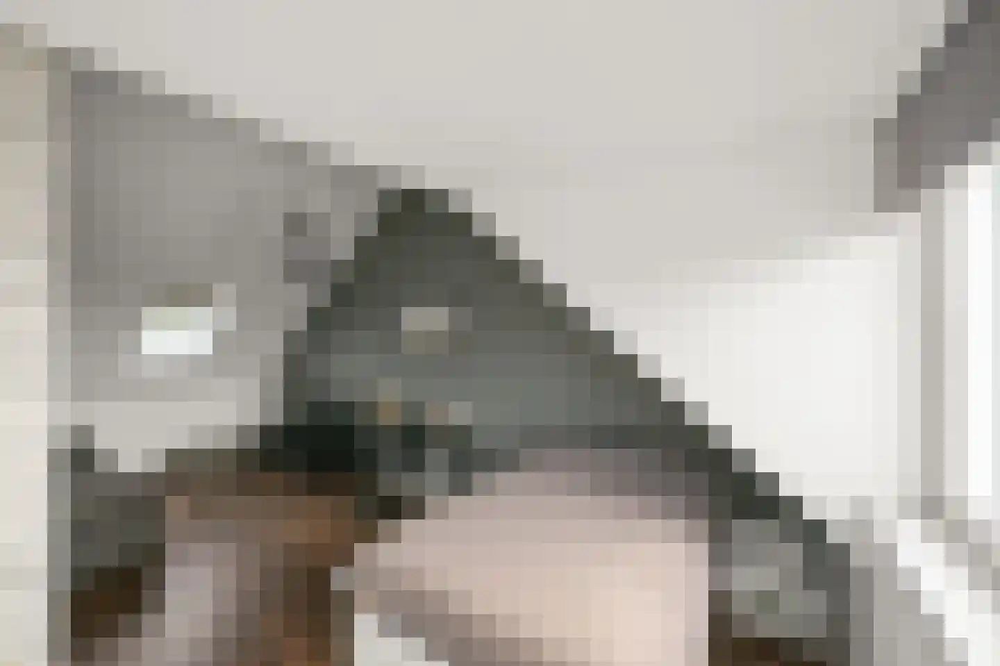 De Voorhoede 47 Wormer thumbnail 33