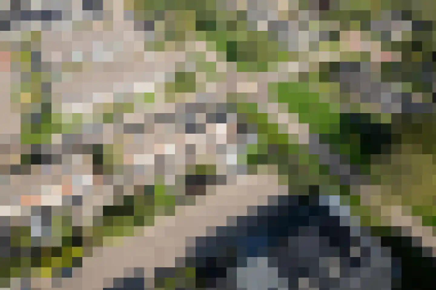 De Voorn 3 Makkum thumbnail 17