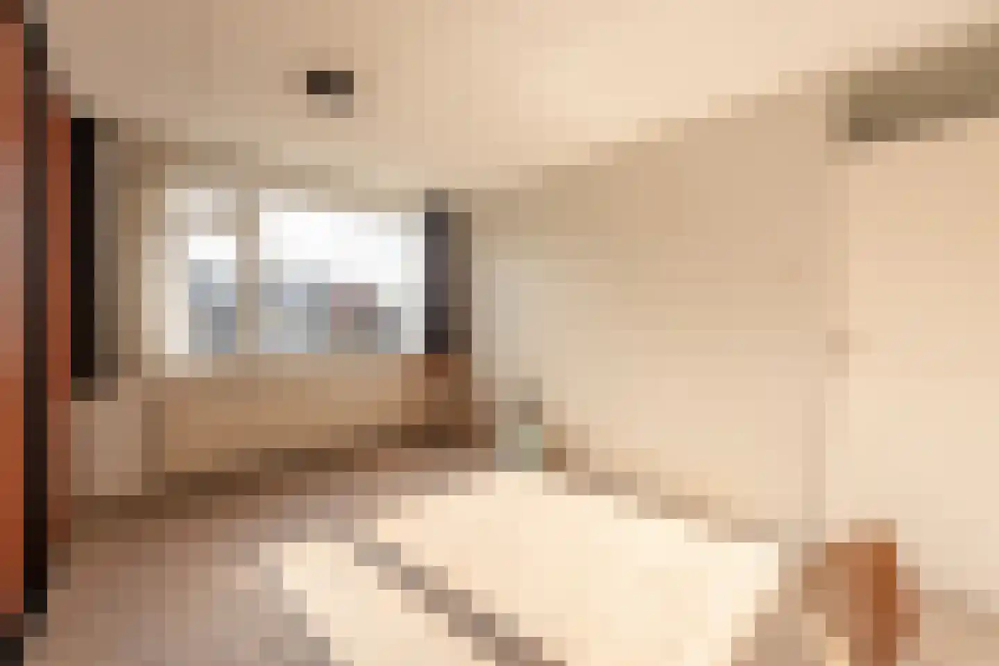De Voorn 3 Makkum thumbnail 21