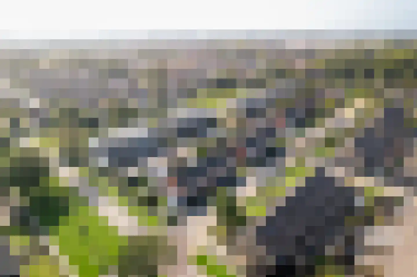 De Voorn 3 Makkum thumbnail 29