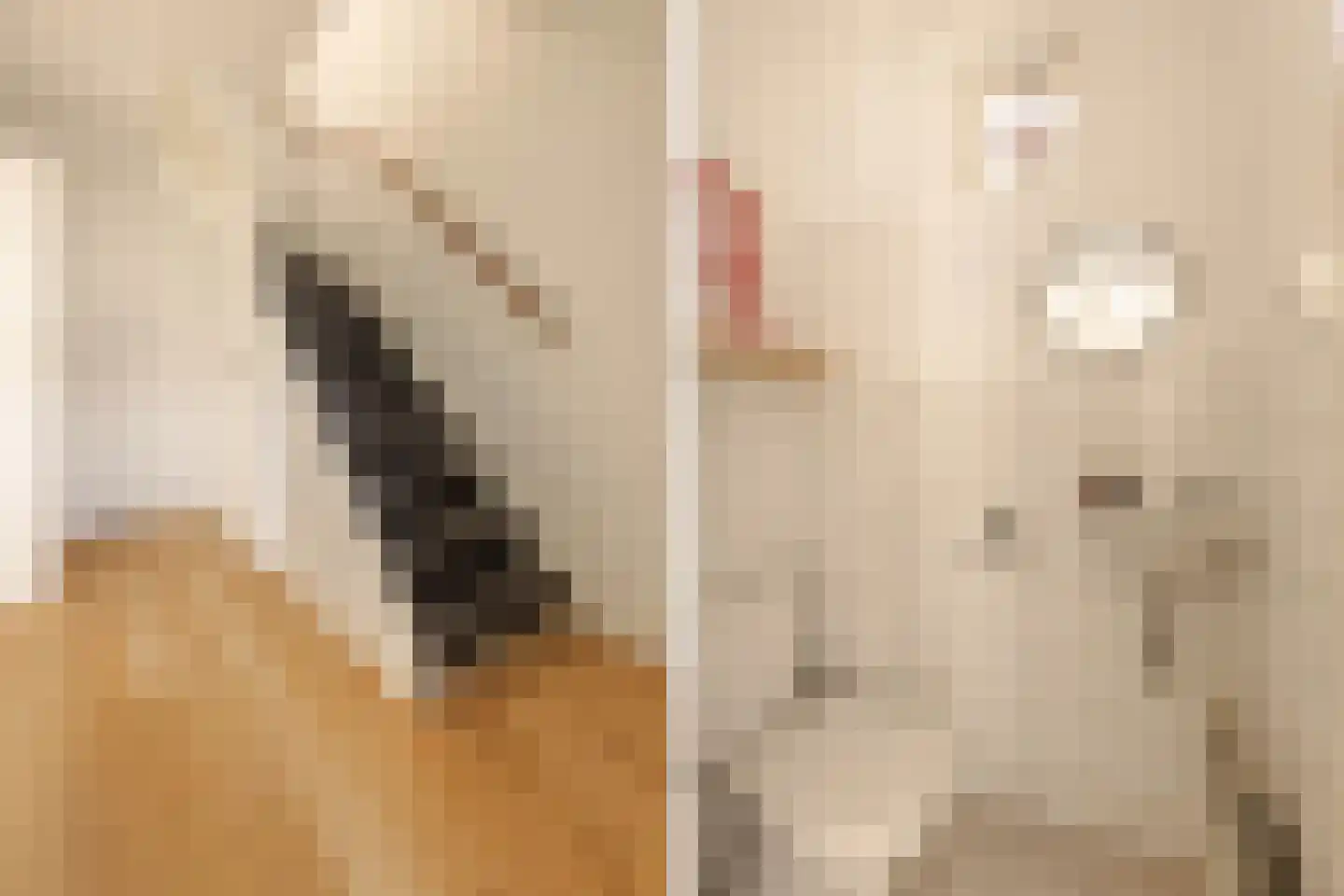 De Voorn 3 Makkum thumbnail 8