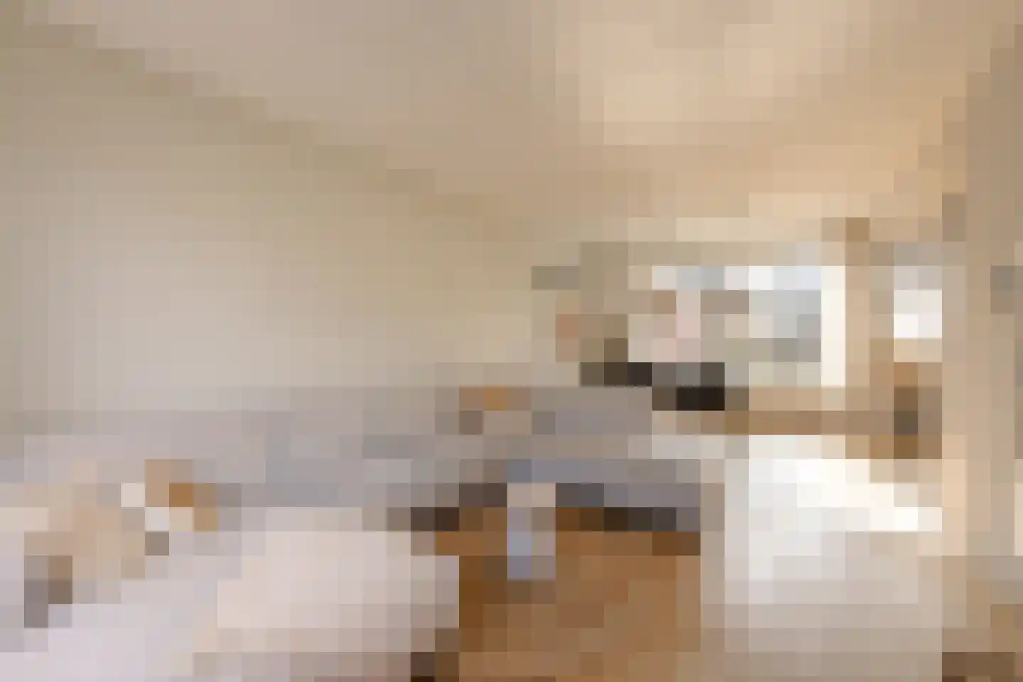 De Voorn 3 Makkum thumbnail 9