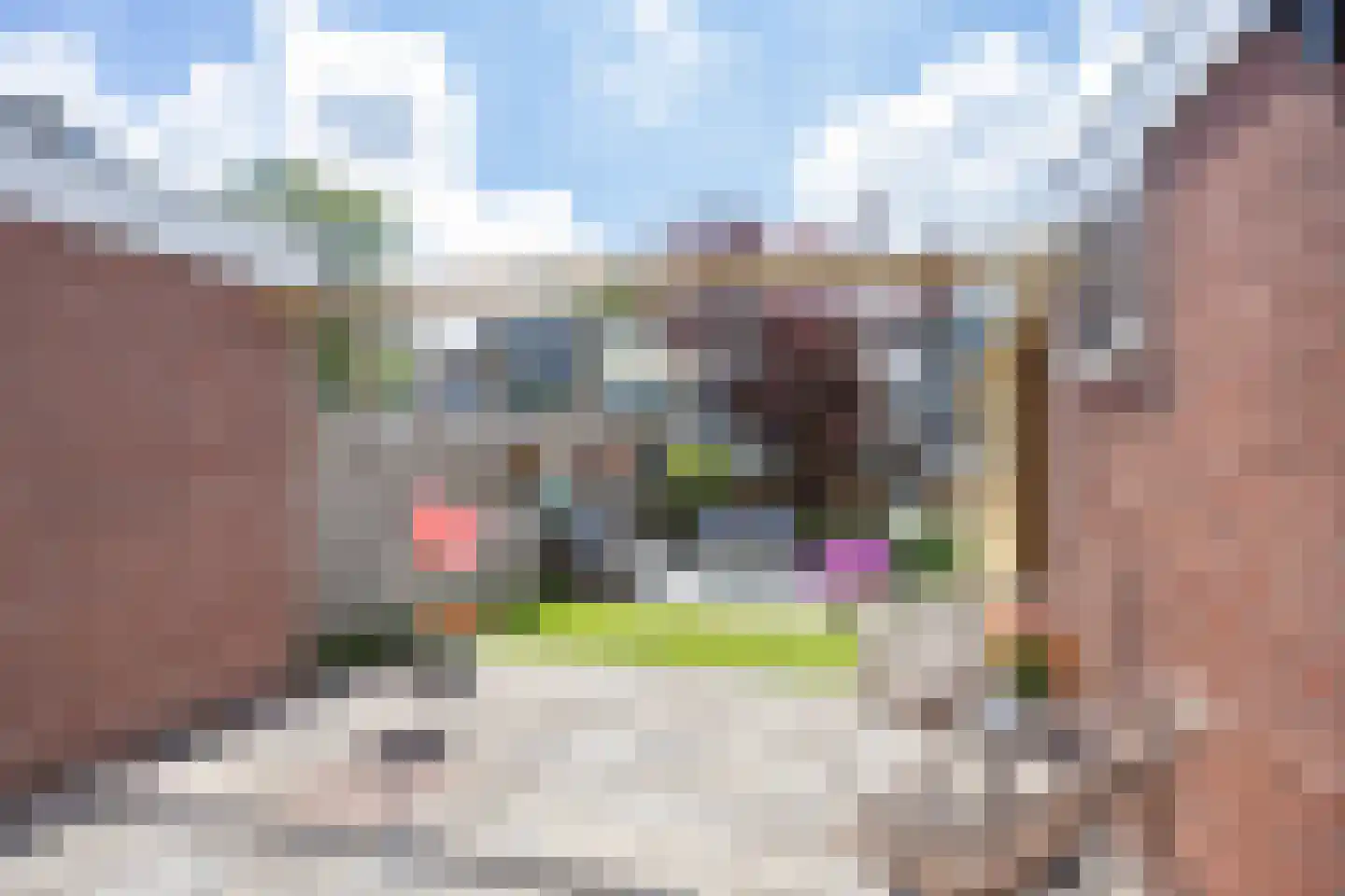 De Voorn 5 Makkum thumbnail 30