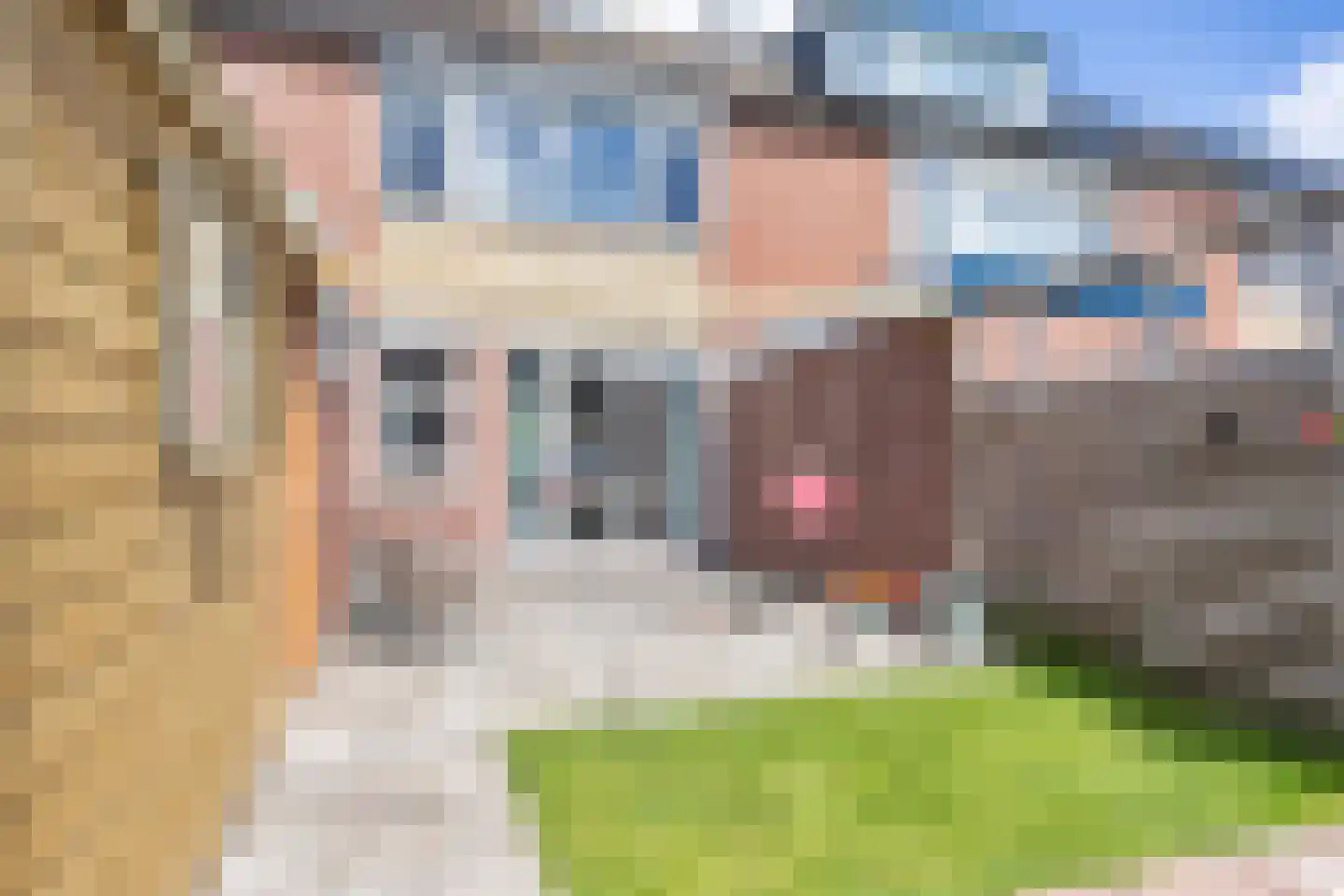De Voorn 5 Makkum thumbnail 32