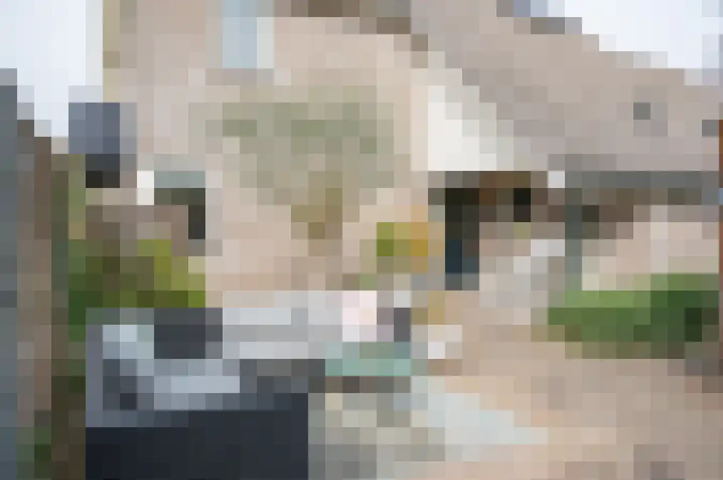 de Voornekamp 18 Vorden thumbnail 11