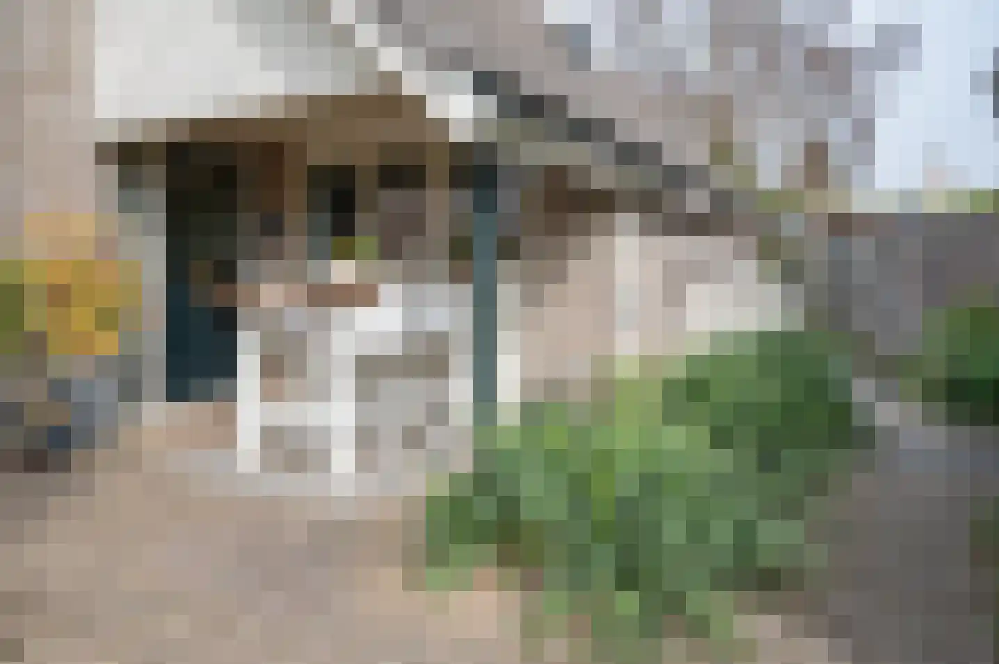 de Voornekamp 18 Vorden thumbnail 13
