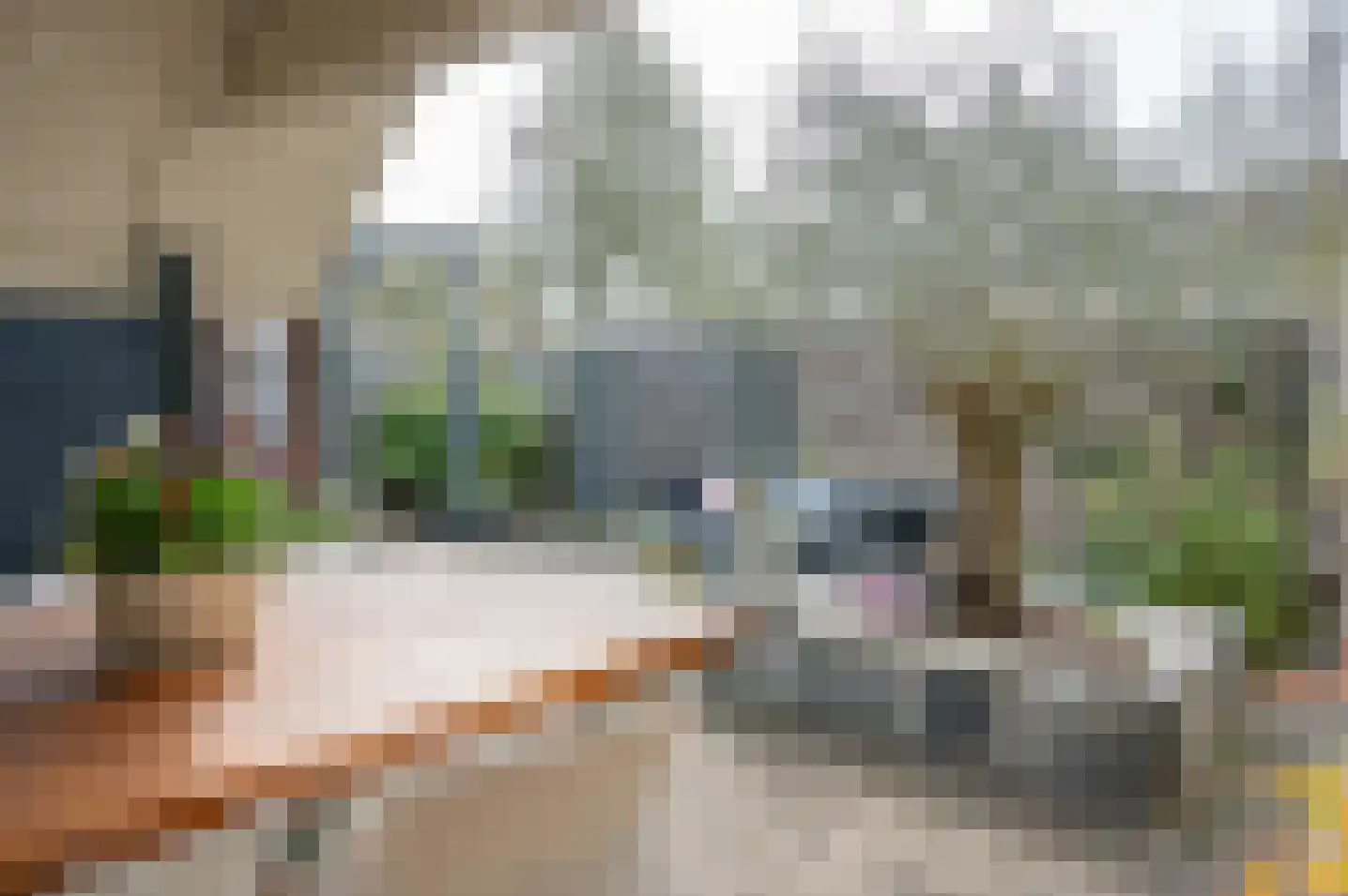 de Voornekamp 18 Vorden thumbnail 14