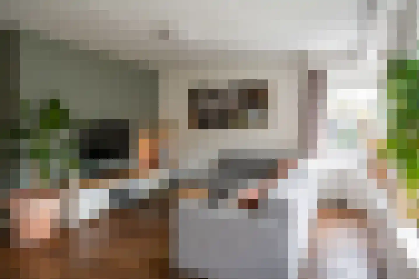 de Voornekamp 18 Vorden thumbnail 19