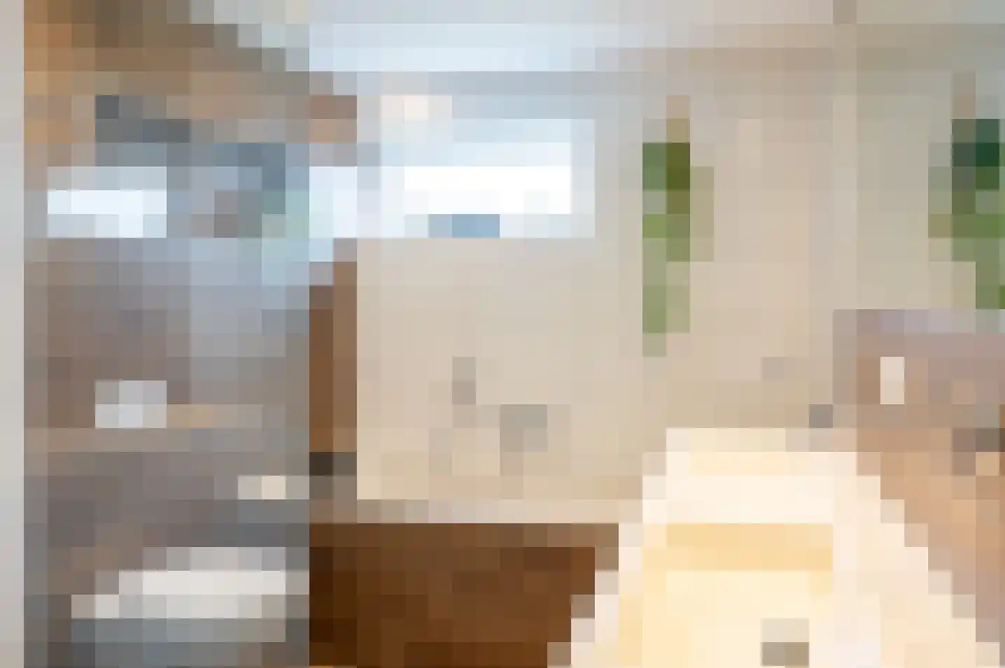 de Voornekamp 18 Vorden thumbnail 33