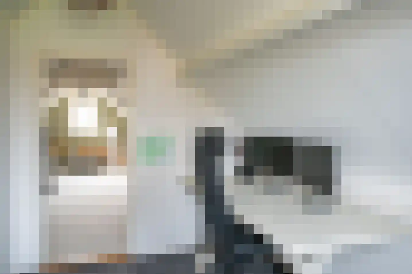 de Voornekamp 18 Vorden thumbnail 36