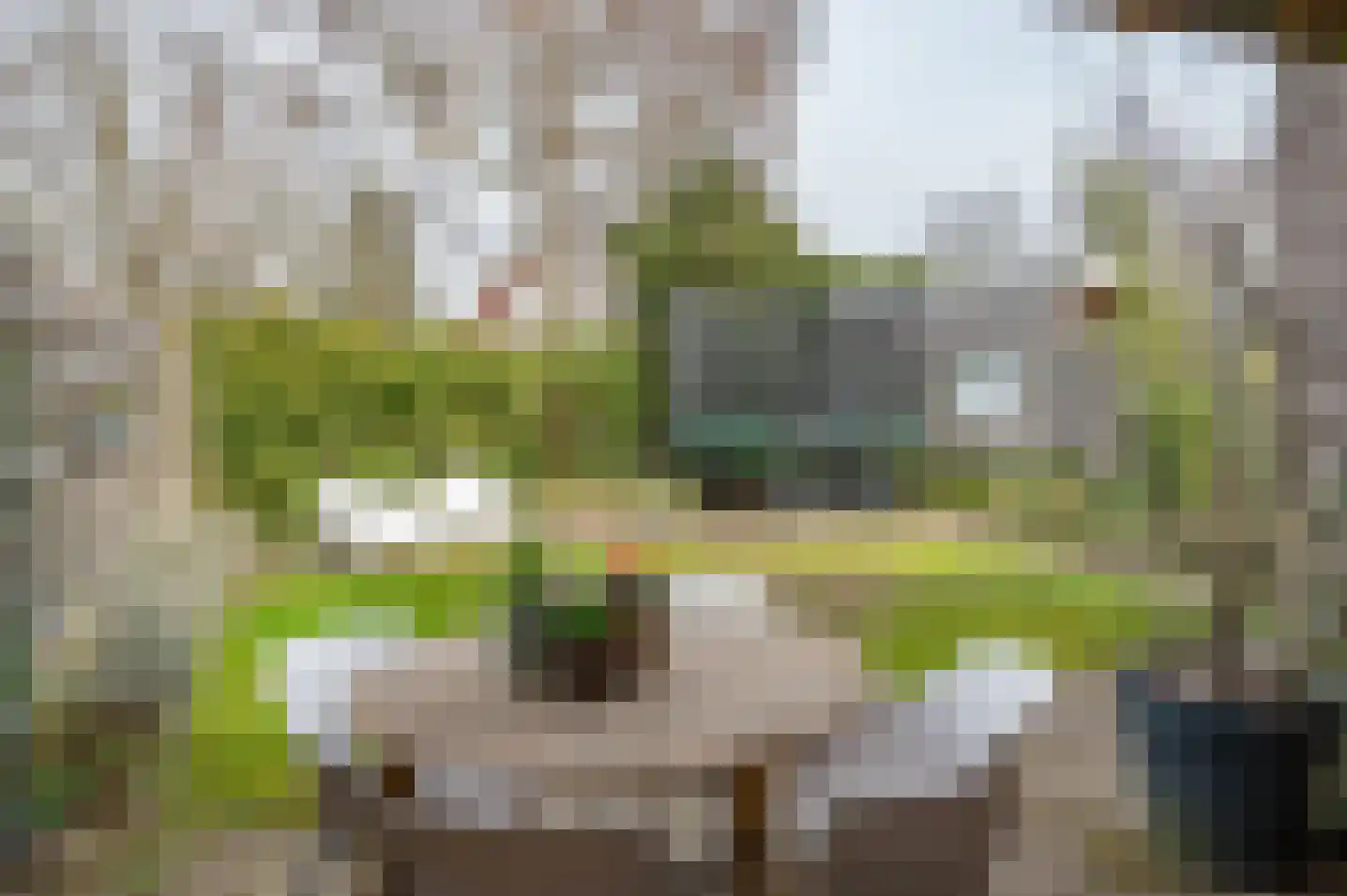 de Voornekamp 18 Vorden thumbnail 40