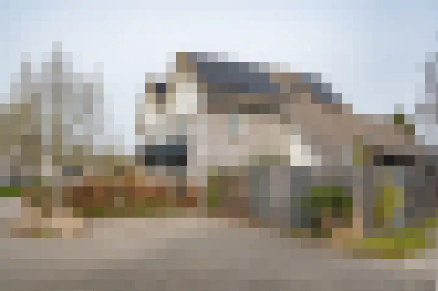 de Voornekamp 18 Vorden thumbnail 9