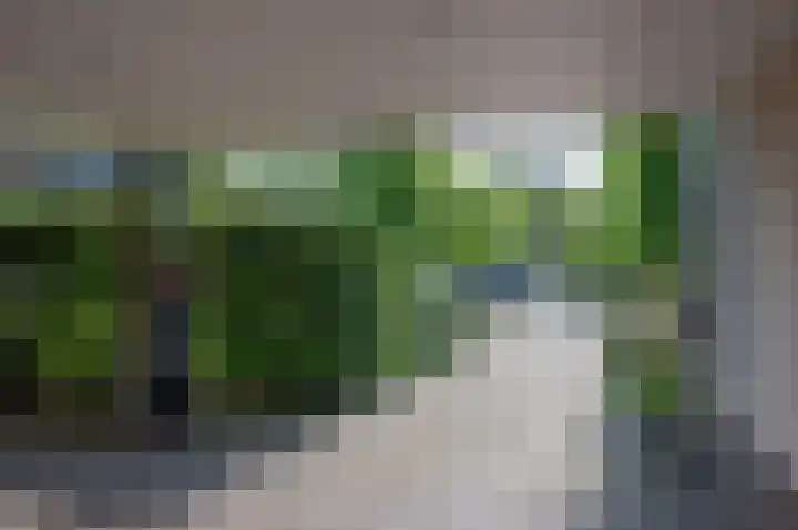 de Voornekamp 39 Vorden thumbnail 11