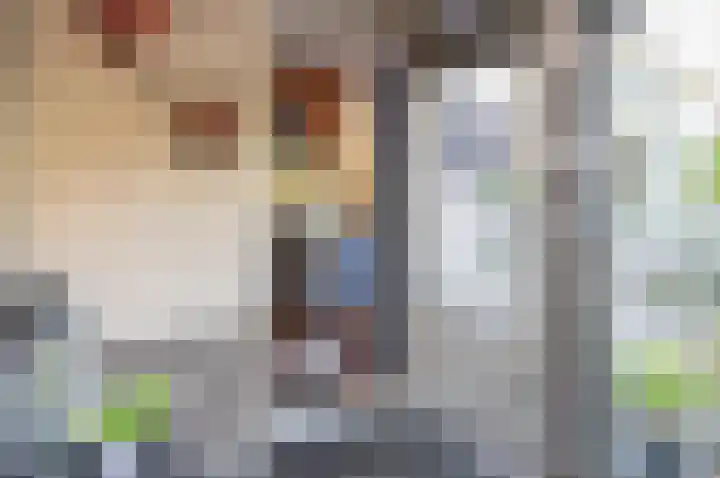 de Voornekamp 39 Vorden thumbnail 19