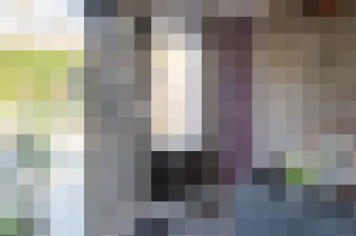 de Voornekamp 39 Vorden thumbnail 20
