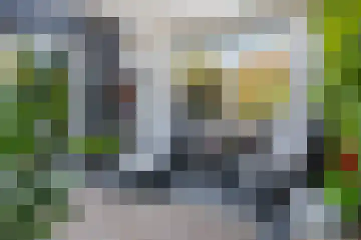 de Voornekamp 39 Vorden thumbnail 22