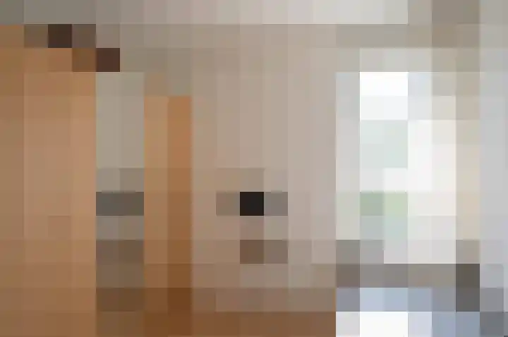 de Voornekamp 39 Vorden thumbnail 27
