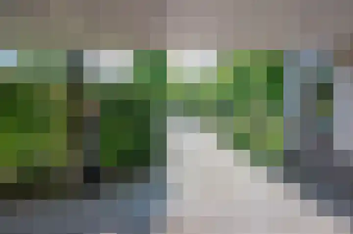 de Voornekamp 39 Vorden thumbnail 37
