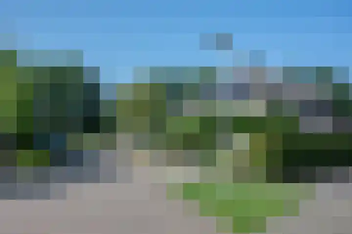 de Voornekamp 39 Vorden thumbnail 38