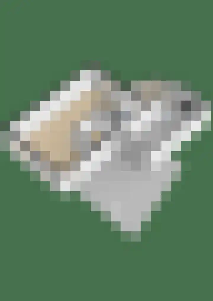 de Voornekamp 39 Vorden thumbnail 40