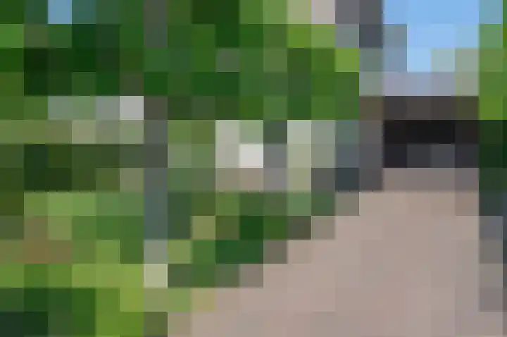 de Voornekamp 39 Vorden thumbnail 6