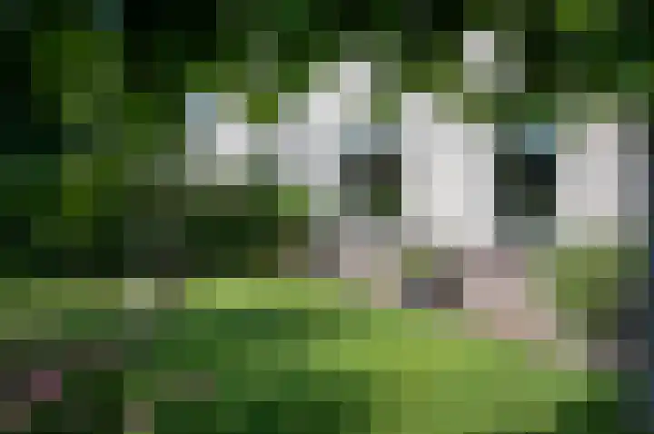 de Voornekamp 39 Vorden thumbnail 7
