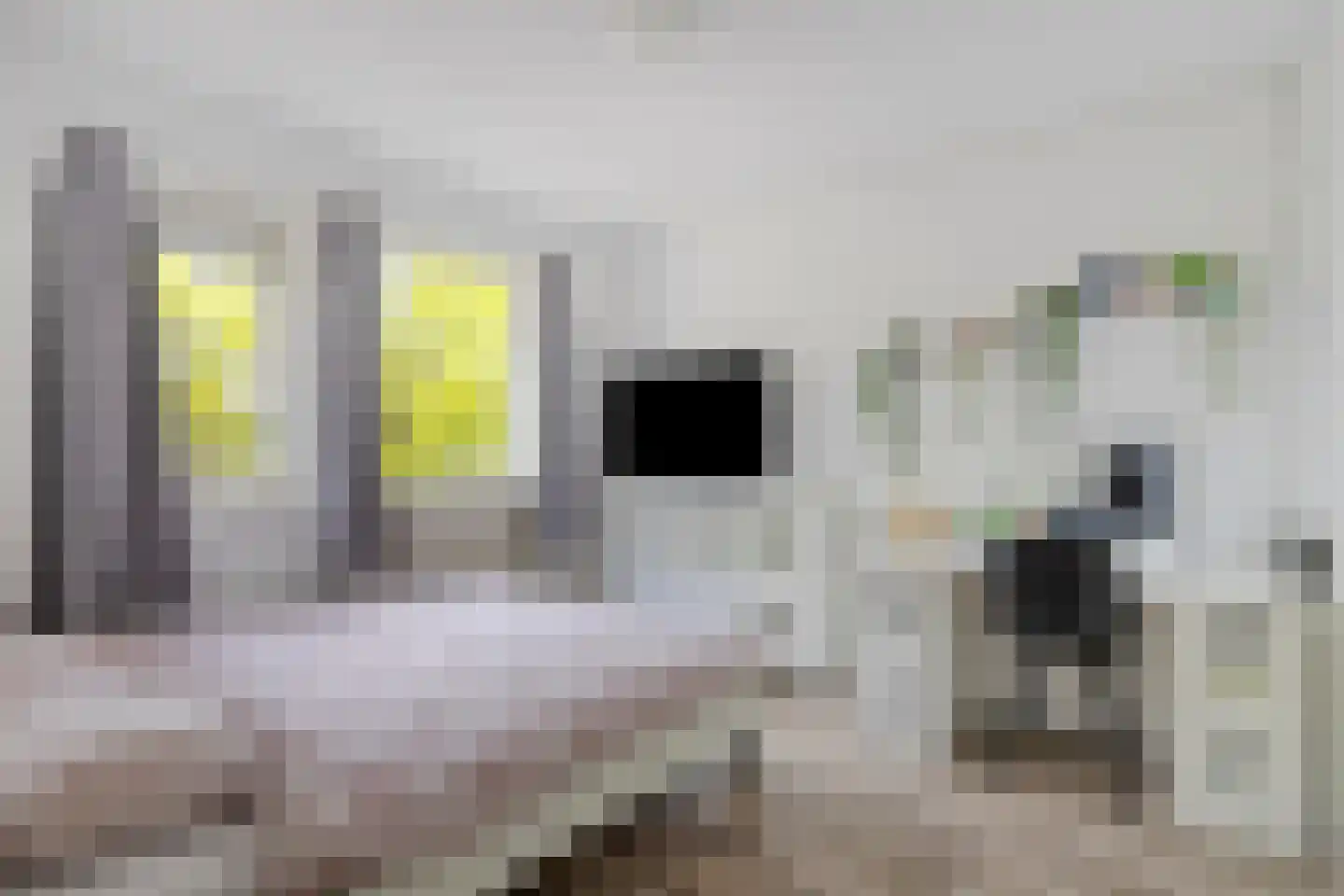 De Voorposten 24 Scherpenzeel thumbnail 26