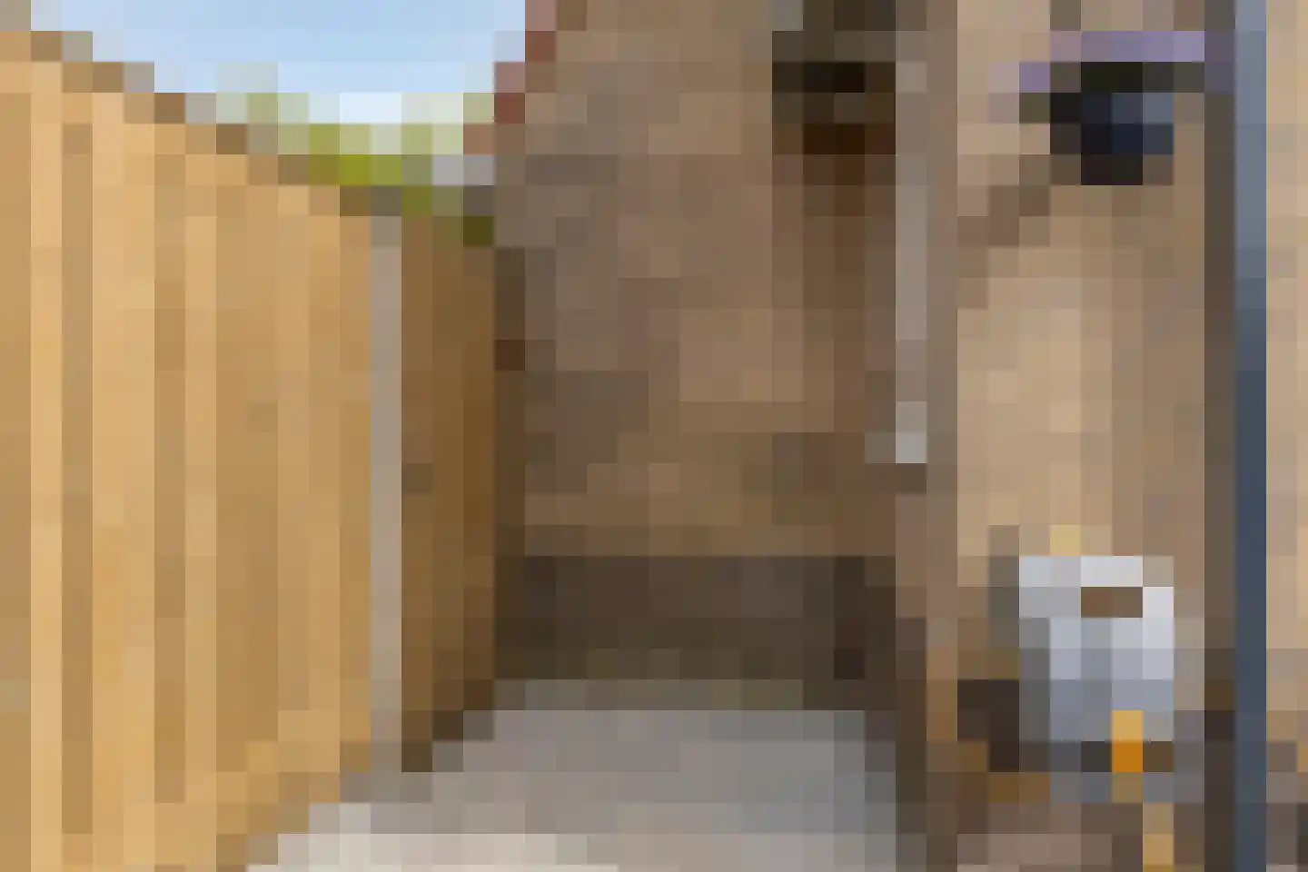 De Voorposten 24 Scherpenzeel thumbnail 36