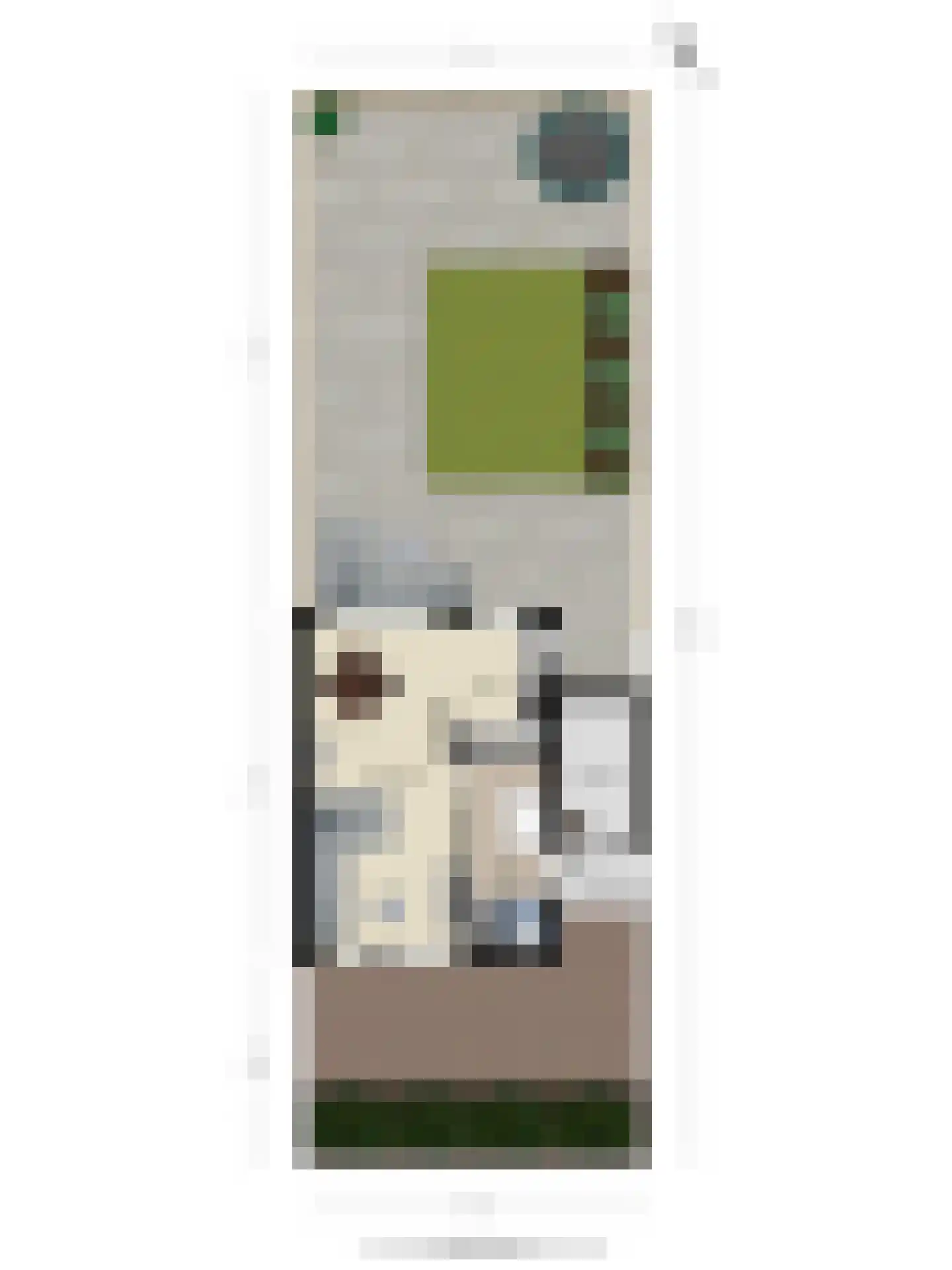 De Voorposten 24 Scherpenzeel thumbnail 43