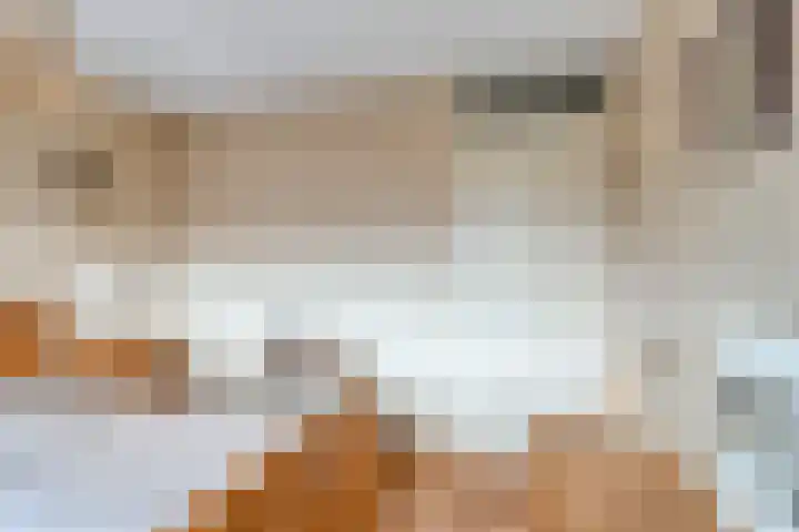 De Voorposten 39 Scherpenzeel thumbnail 13