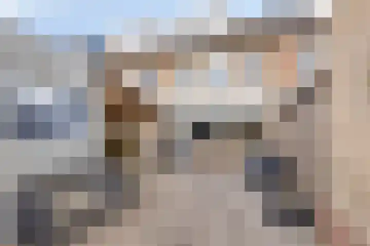De Voorposten 39 Scherpenzeel thumbnail 26