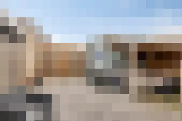 De Voorposten 39 Scherpenzeel thumbnail 28