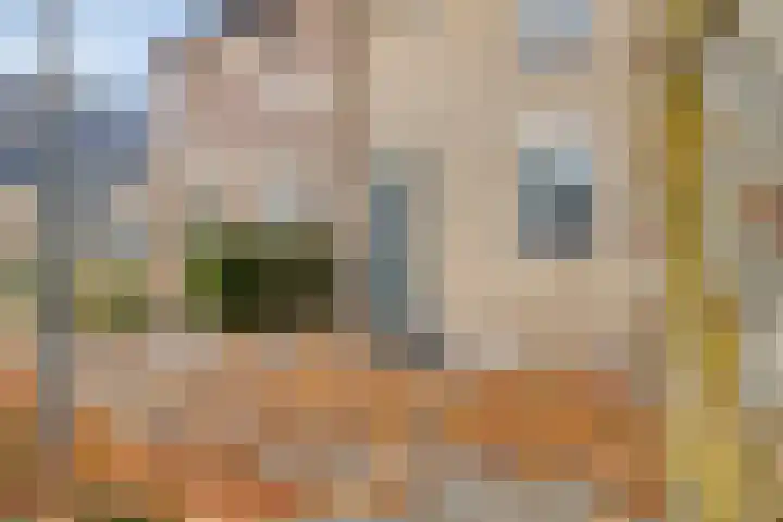De Voorposten 39 Scherpenzeel thumbnail 30
