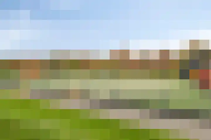 De Voorposten 39 Scherpenzeel thumbnail 32