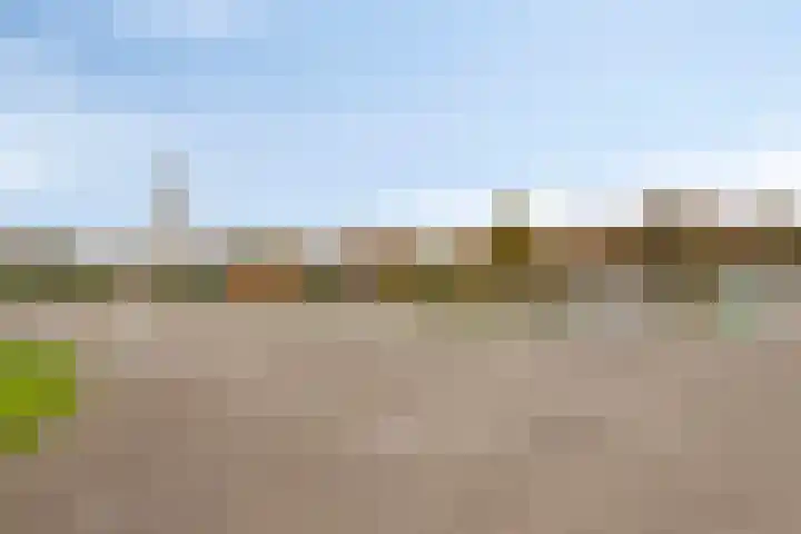 De Voorposten 39 Scherpenzeel thumbnail 33