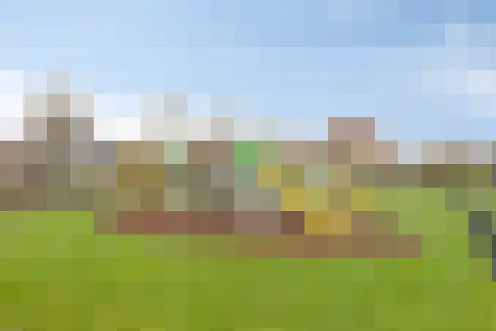 De Voorposten 39 Scherpenzeel thumbnail 34
